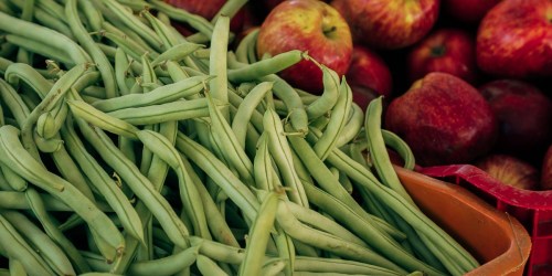 Request FREE Organic Green Bean Seeds (1st 1,000 Per Day)