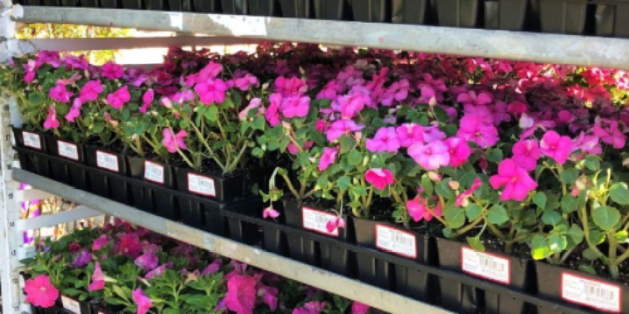 Lowe’s Spring Sale Ends Tomorrow: $1 Annuals & Patio Stones, $2 Mulch & Soil, + More