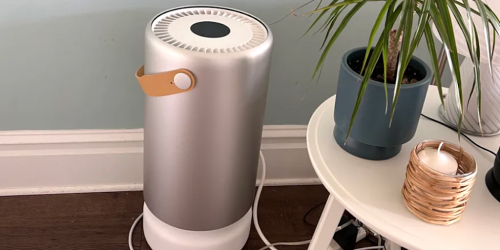 Up to $300 Off Molekule Air Purifiers + Free Shipping | Eliminates Bacteria, Mold, & Allergens!