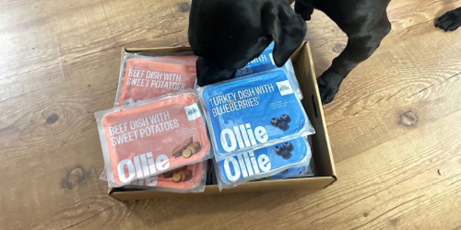 HOT! Get 80% Off Ollie Dog Food + FREE Jerky for Life!