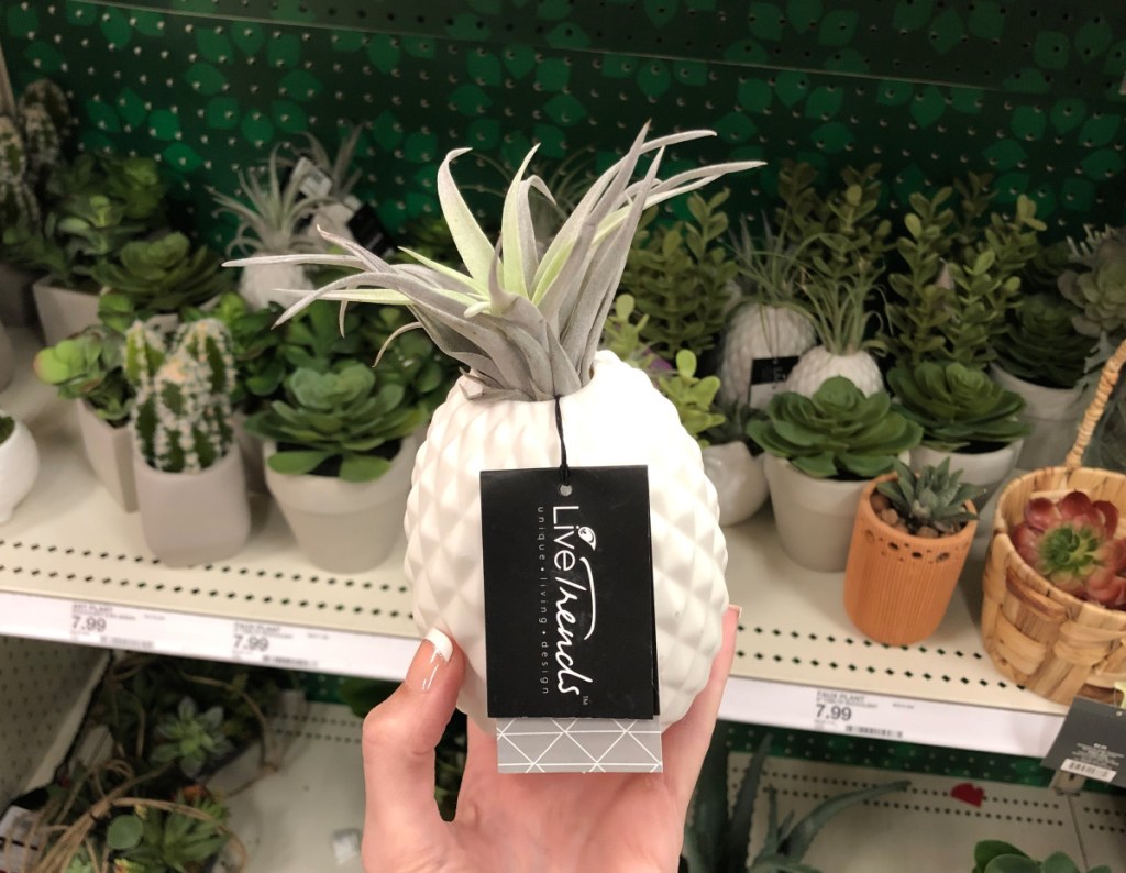 New Succulents & Greenery at Target (InStore & Online)
