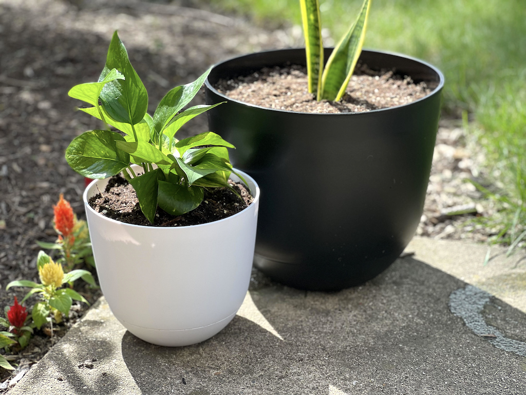 Our Favorite Target Self-Watering Planters are on Sale from $2.10 – Easiest Way to Garden!