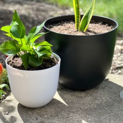Our Favorite Target Self-Watering Planters are on Sale from $2.10 – Easiest Way to Garden!