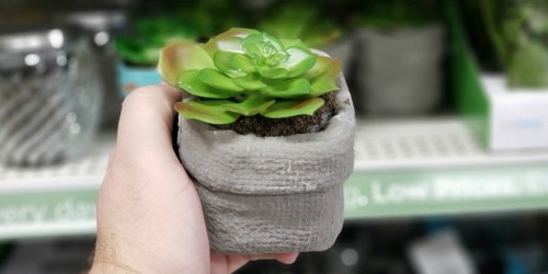 Faux Potted Succulents Only $2 at Dollar General