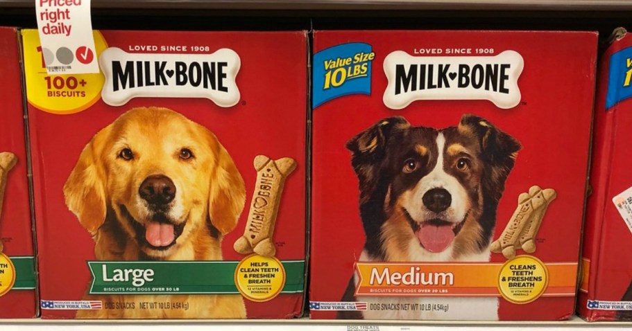 Milk-Bone Dog Treats 10lb Box Just $10 Shipped on Amazon (Reg. $17) – Over 280 Treats!