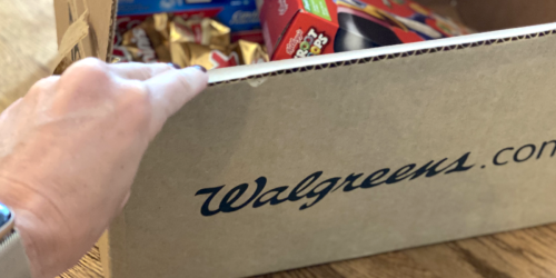 FREE Shipping on ANY Walgreens Order (Today Only) | Cheap Squishmallows, Chocolates & More