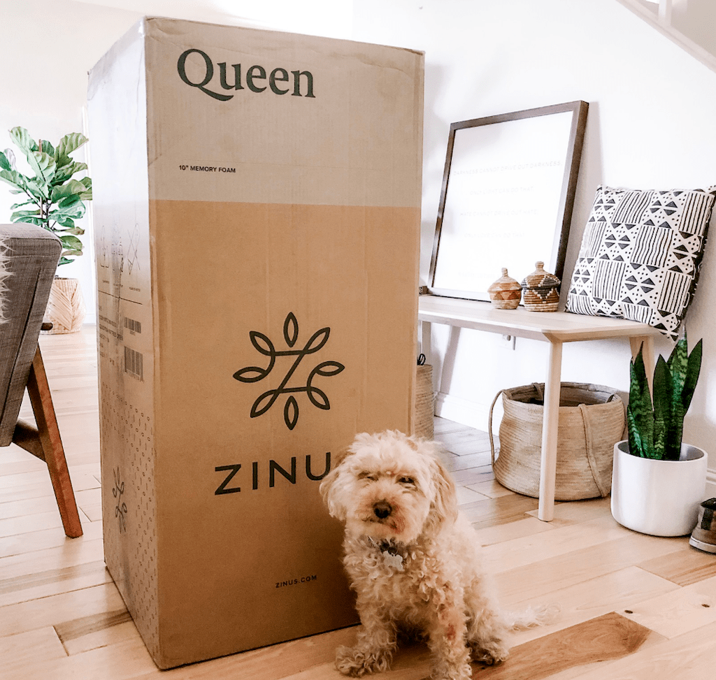 Zinus mattress box with dog