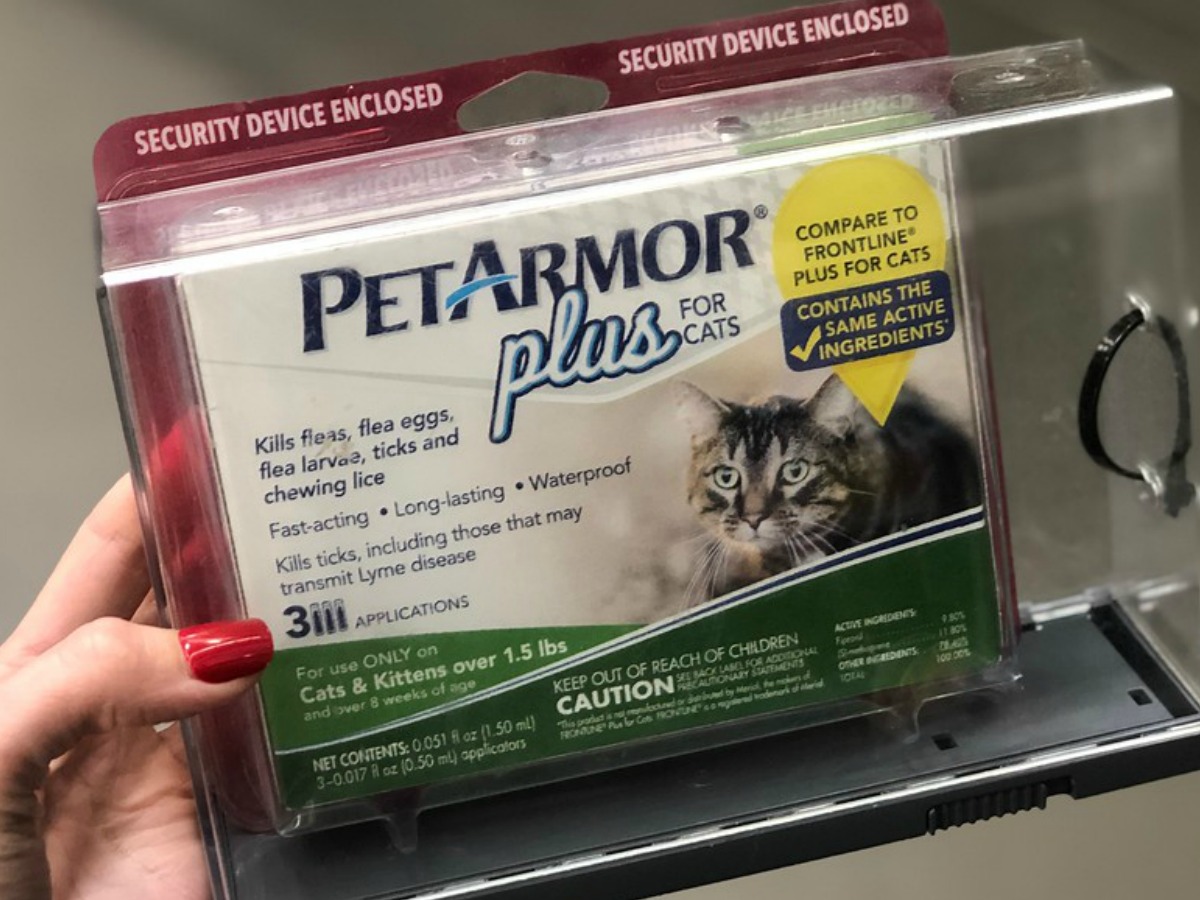petarmor plus for kittens