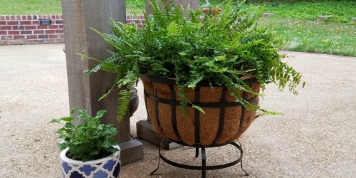 Plow & Hearth Steel Basket Planter AND Coco Liner Just $49.99 Shipped (Regularly $88)