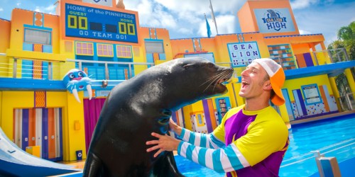 FREE SeaWorld Unlimited Admission Card for Florida Teachers | 3 Single-Day Tickets Only $25.99 Each