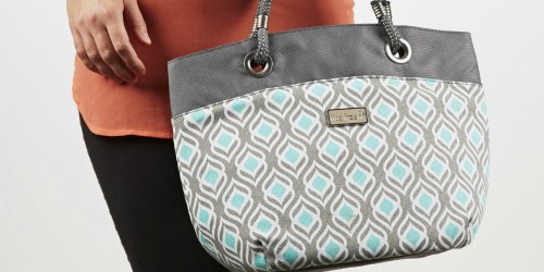 Fit & Fresh Insulated Lunch Bag Only $9 (Regularly $30)