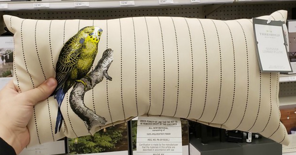 target threshold outdoor pillows