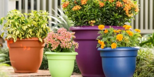 Self-Watering Planters Just $3.12 Shipped
