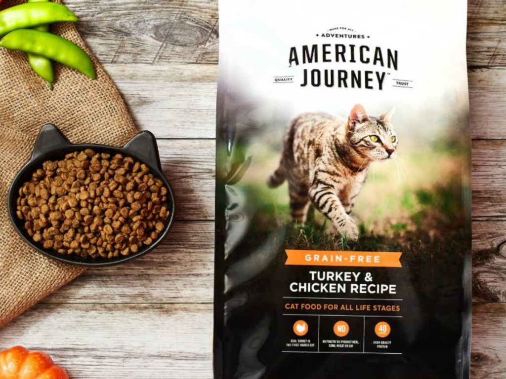 american journey cat food bag with bowl of cat food beside it