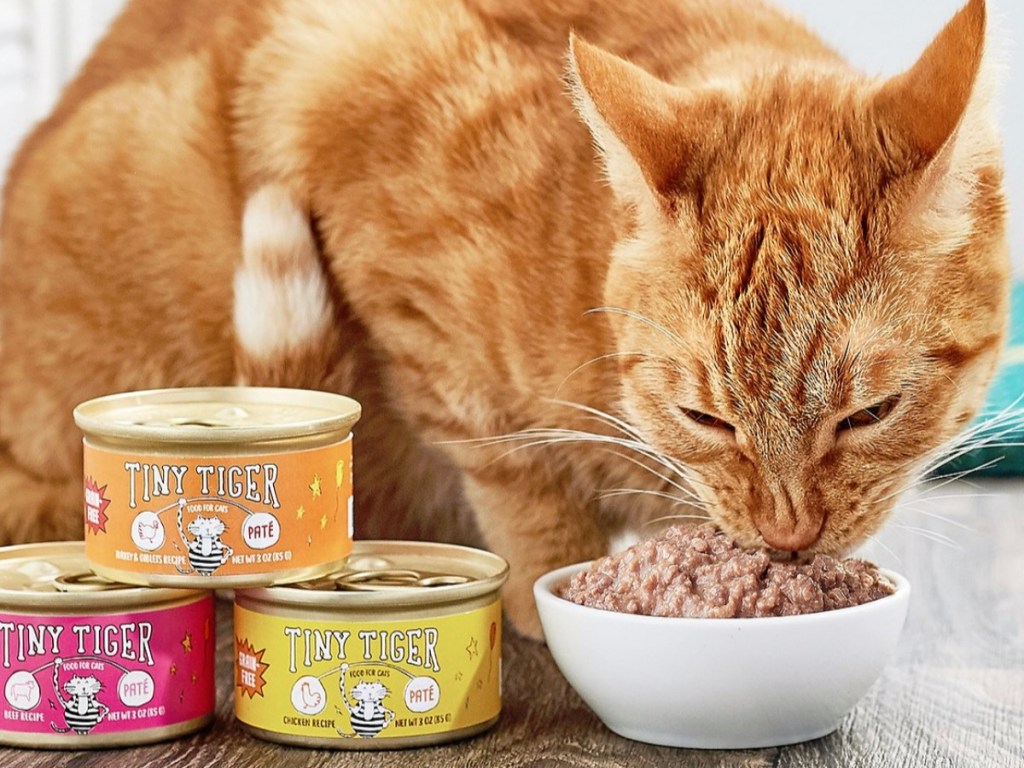 Buy One, Get One FREE True Acre Dog Treats AND Tiny Tiger Cat Food at