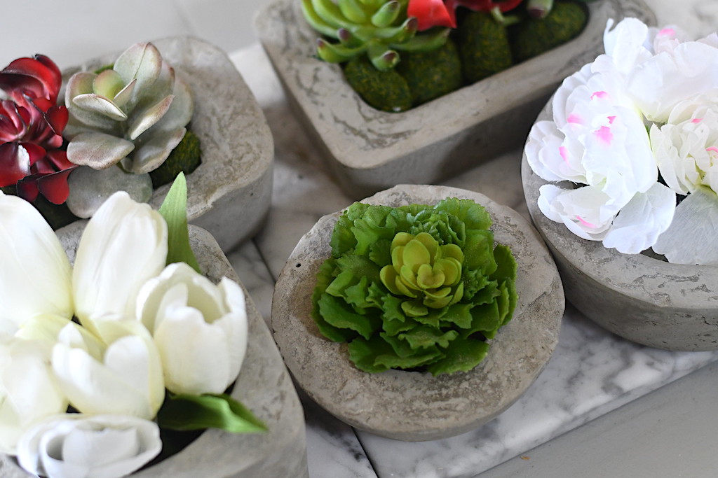 diy concrete planters on counter filled with plants