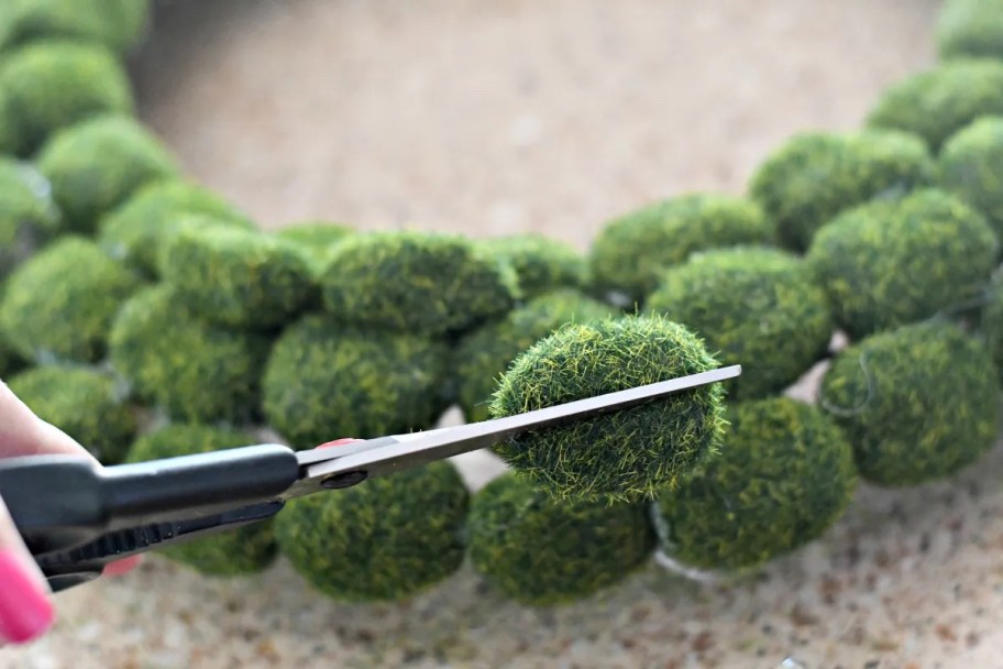 scissors cutting into piece of green moss