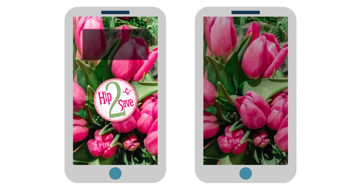 digital wallpapers — tulip flowers smartphone background