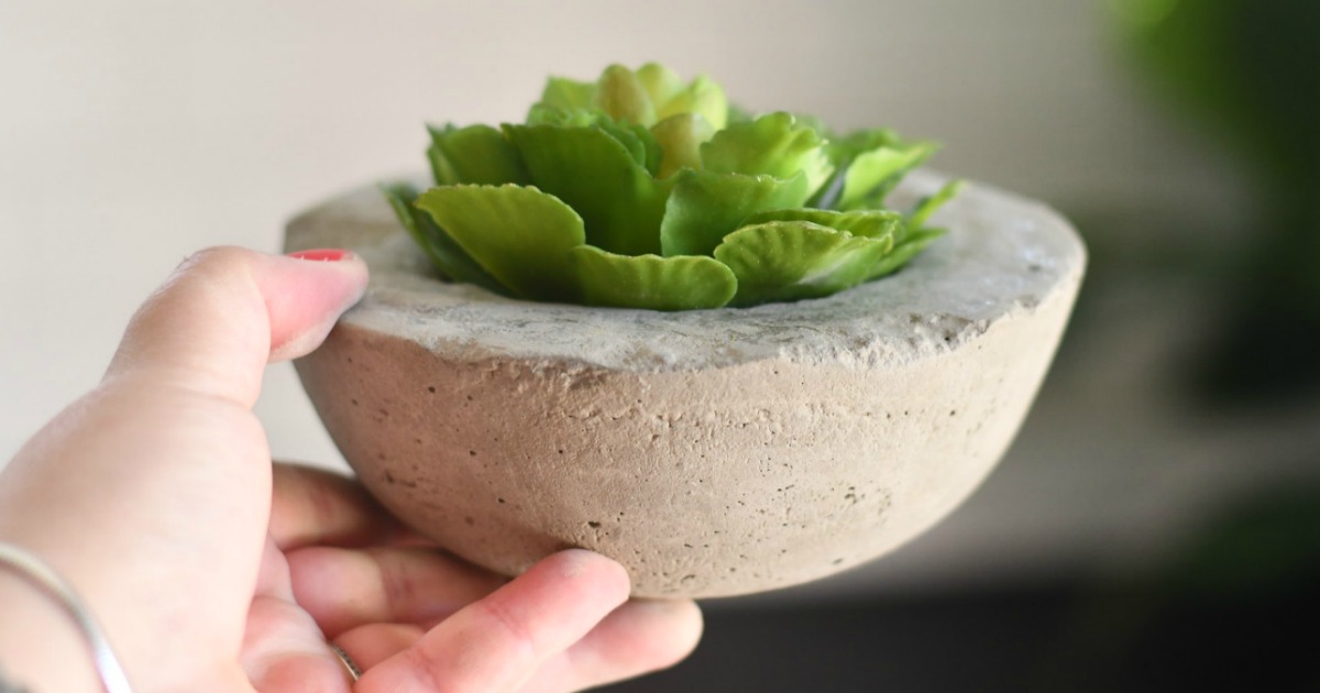 These DIY Concrete Planters Cost Less Than a DOLLAR to Make!