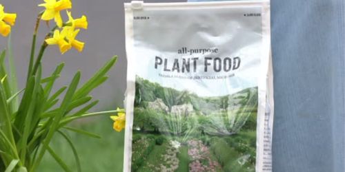 Martha Stewart Living Organic All Purpose Plant Food 8-Pound Bag Only $8.99 (Regularly $17)