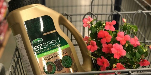 50% Off Scotts EZ Seed Products + Free Shipping