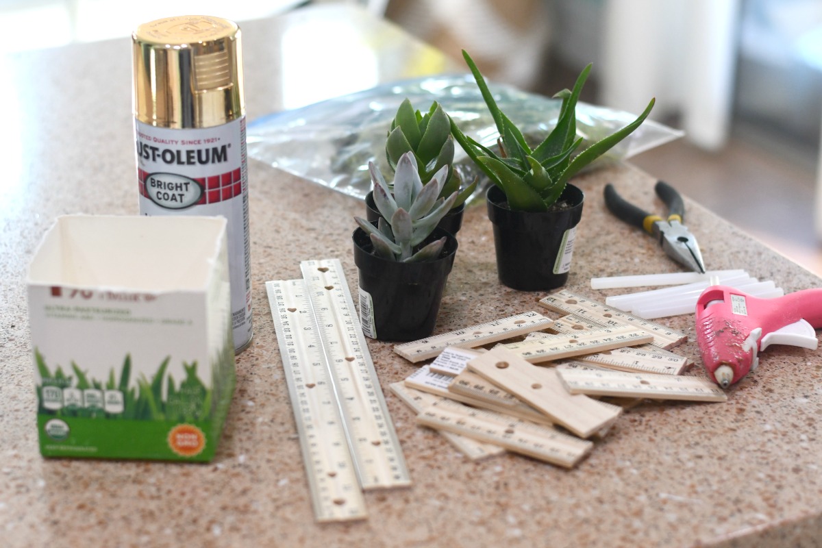 craft supplies to make a succulent planter on the counter 