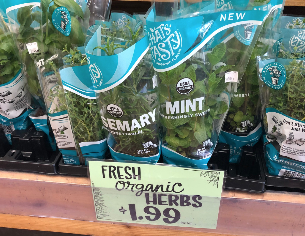 Trader Joe's fresh organic herbs plants