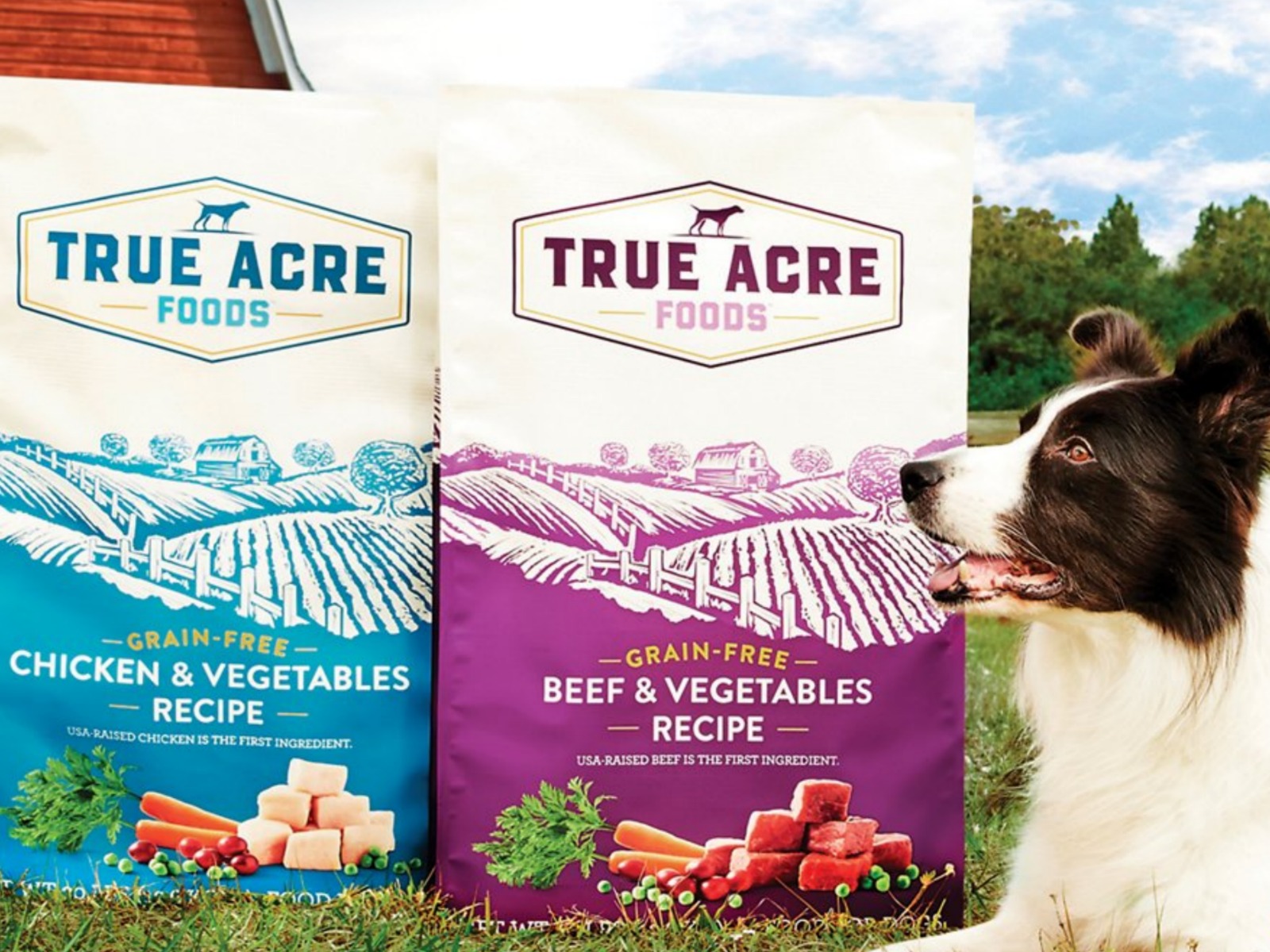 true acre grain free dog food