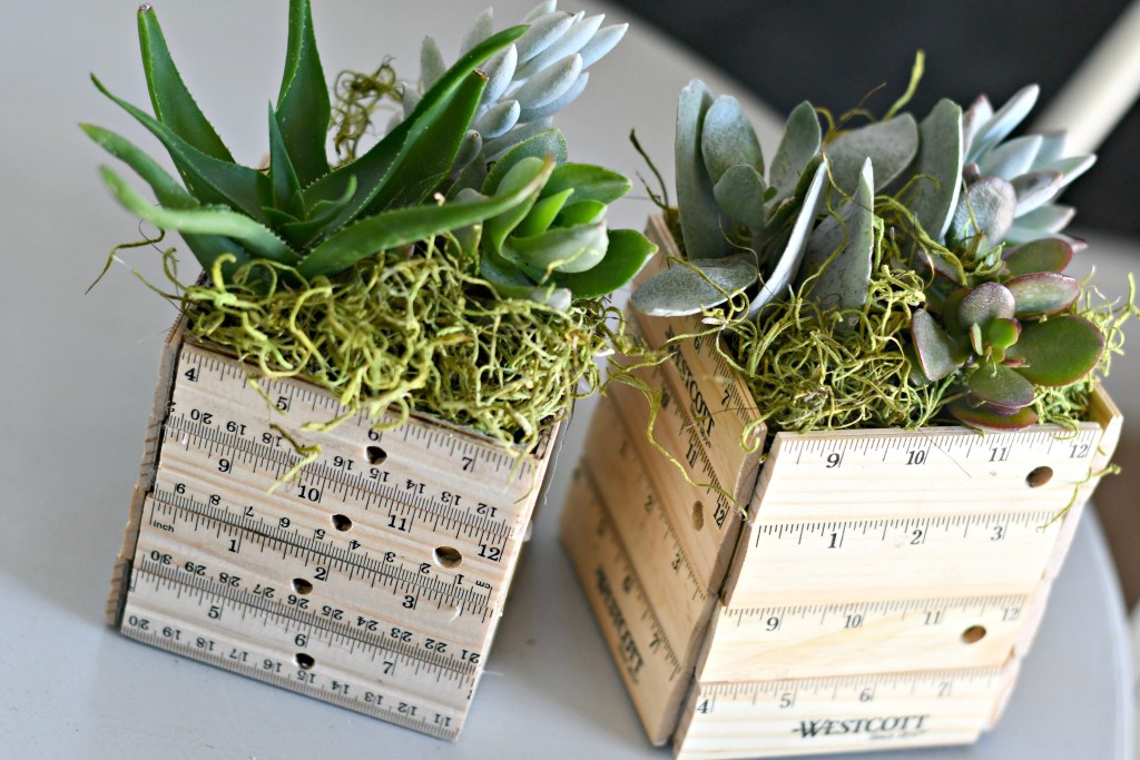 living succulents planted inside a milk carton on the table 