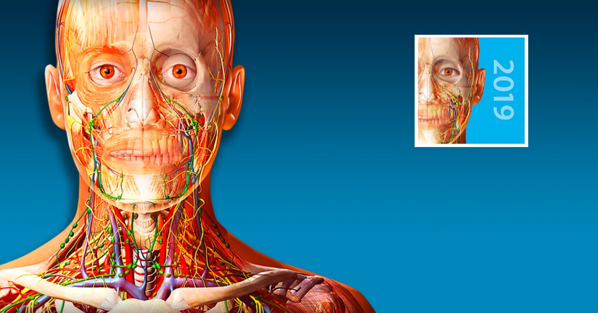 Human Anatomy Atlas 2019 3d Human Body Google Play App Just 2 99