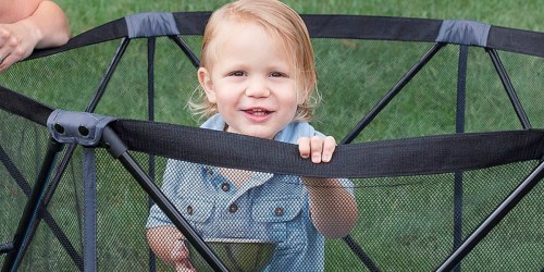Baby Delight Go With Me Portable Playard Only $49.99 (Regularly $80)