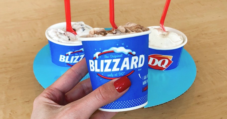 Dairy Queen Mini Blizzard Treat Flight