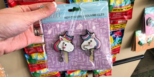 Cute Key Covers Just $1 at Dollar Tree (Unicorns, Mermaids, Cacti & More)