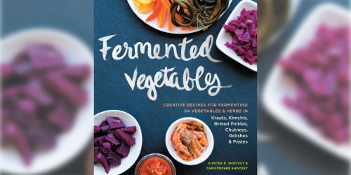 Fermented Vegetables e-Book Only $1.99 (Includes 120 Recipes)