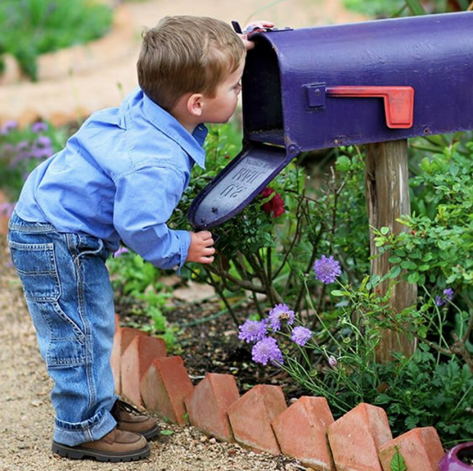 little boy looking in mailbox