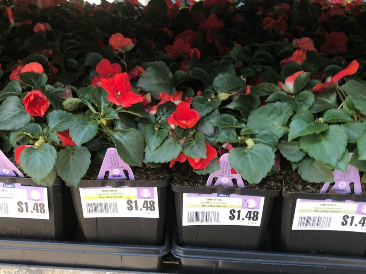 lowes memorial day sale