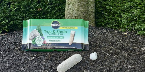 Miracle-Gro Tree & Shrub Fertilizer Spikes 12-Pack Only $5 (Regularly $10)