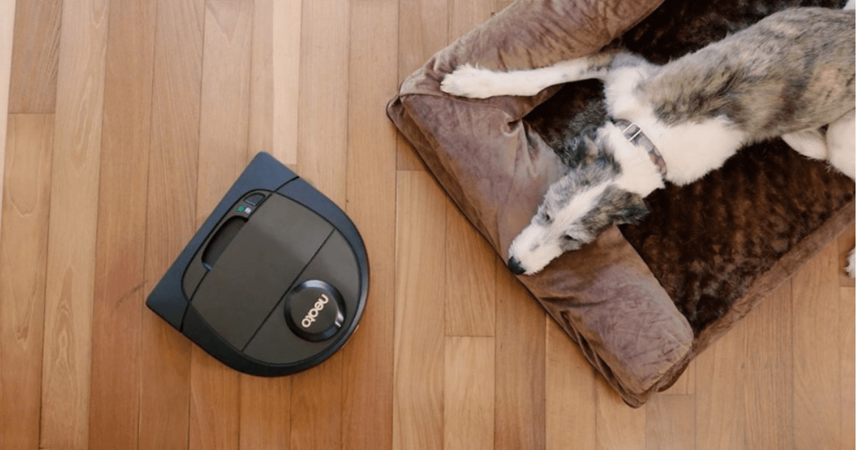 dog laying next to neato bev robot vacuum