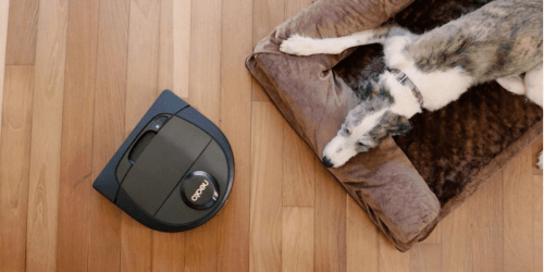 Neato Botvac App-Controlled Robot Vacuums as Low as $320 Shipped at Bed Bath & Beyond