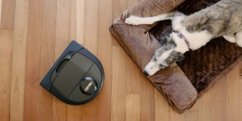 Neato Botvac D6 App-Controlled Vacuum Only $399.99 Shipped (Regularly $730)