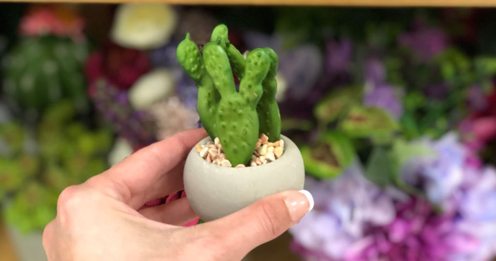 Cute Artificial Succulents as Low as 3.99 at Kohl's (Regularly 10)