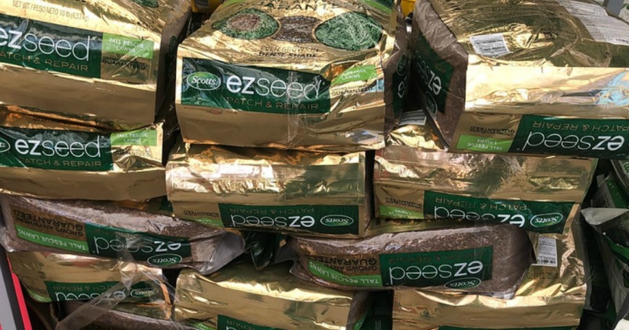 Scotts EZ Seed Grass Seed 10lb Bag Only $15.49 Shipped on Amazon (Reg. $47)