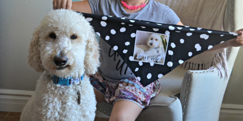 Four FREE Photo Gifts From Shutterfly (Just Pay Shipping)