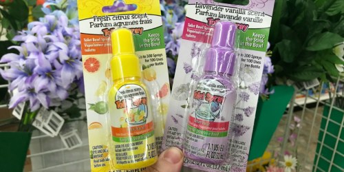 Toilet Bowl Spray Only $1 at Dollar Tree (Keep the Stink in the Bowl)