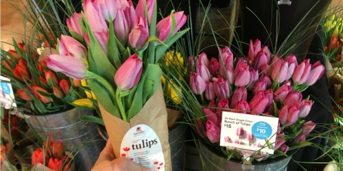 Whole Foods Market 20-Stem Bunch of Tulips ONLY $10 For Amazon Prime Members (5/8-5/14)