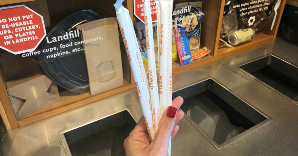 Whole Foods Plastic Drinking Straws