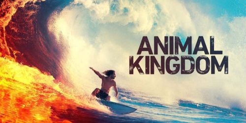 Amazon: Animal Kingdom Season 4 Digital Download Only $1.99 to OWN