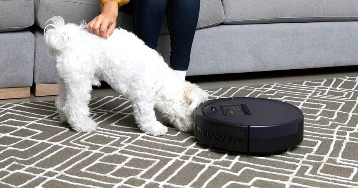 bObsweep PetHair Plus Robotic Vacuum Cleaner and Mop on grey and white carpet with white dog