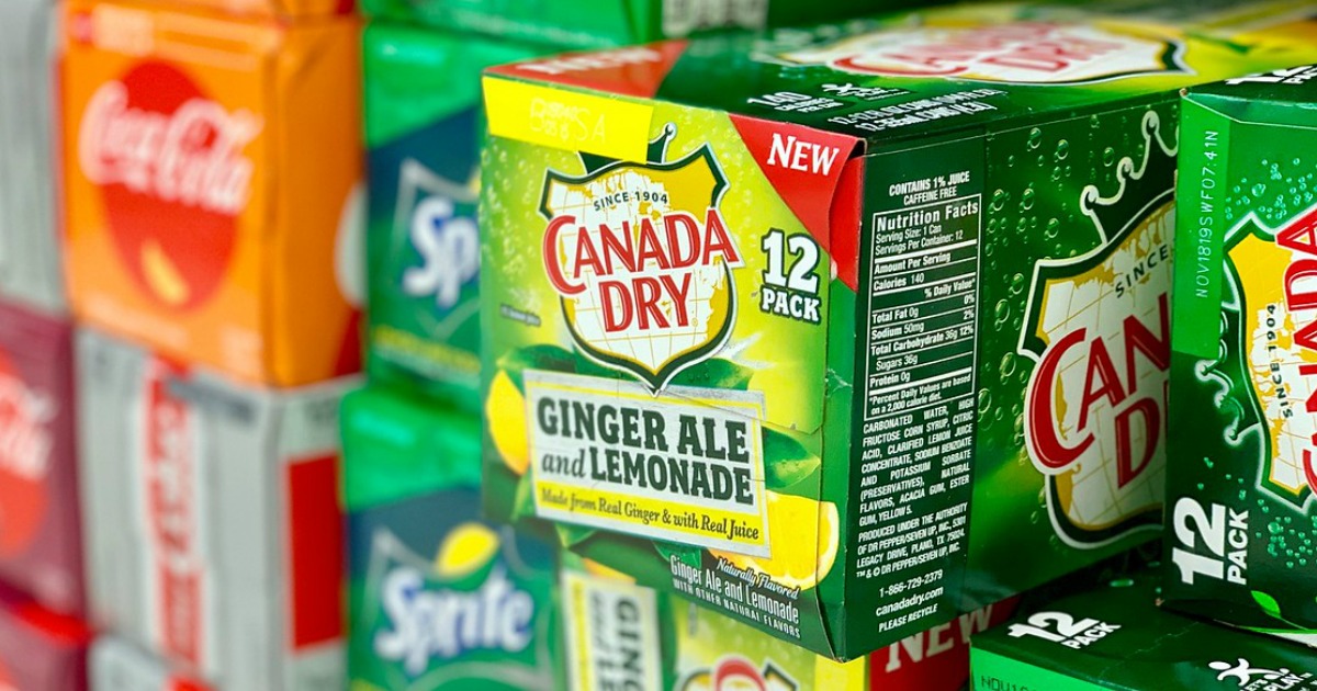 Canada Dry and Lemonade 12-pack