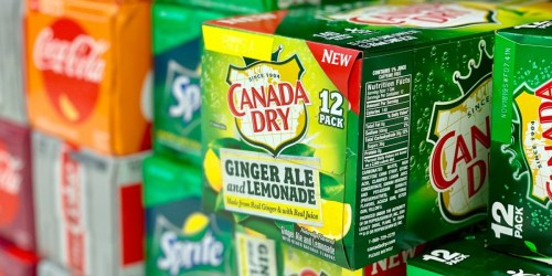 Canada Dry 12-Packs Only $1.66 at Target